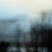 Photo12