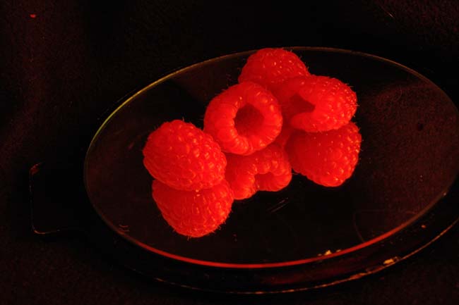 photograph 1